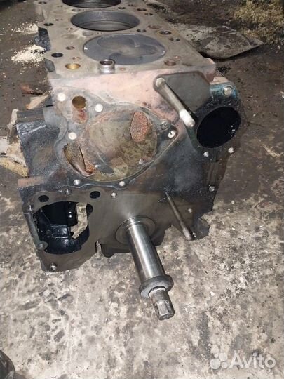 Шорт блок 4D56