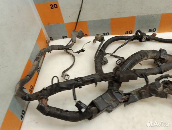 Проводка подкапотная Nissan Teana