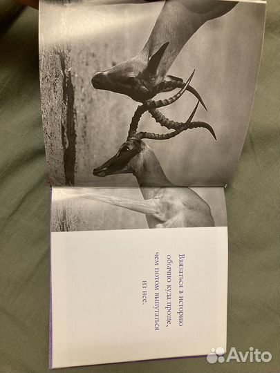 Книга с фото