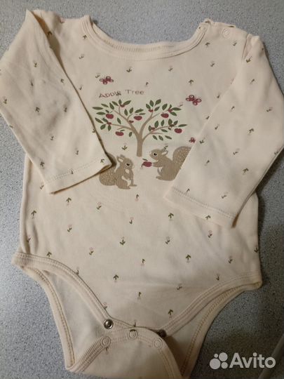 Боди 74/80 размер