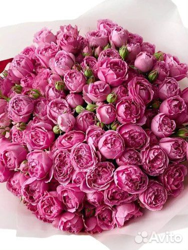 Букет из 15 кустовых пионовидных роз