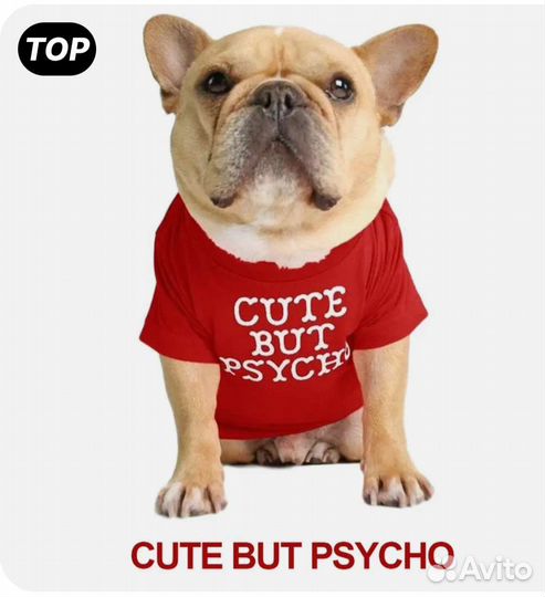 Футболка новая для собаки