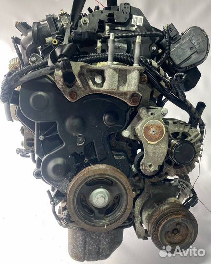 Двигатель T1DB Ford Focus 3