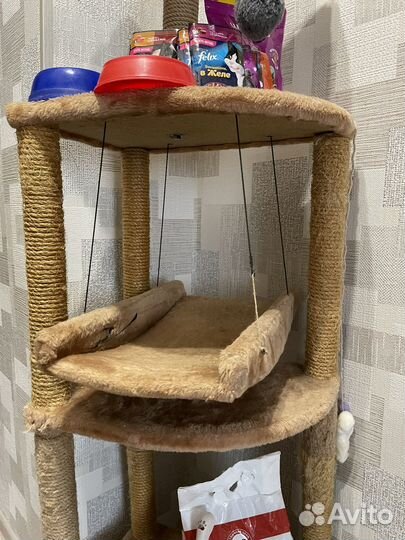 Домик для кошки бесплатно