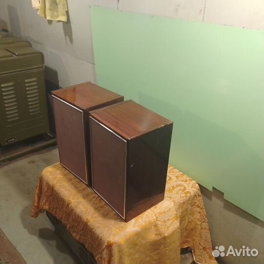 Акустическая система 10мас-1М