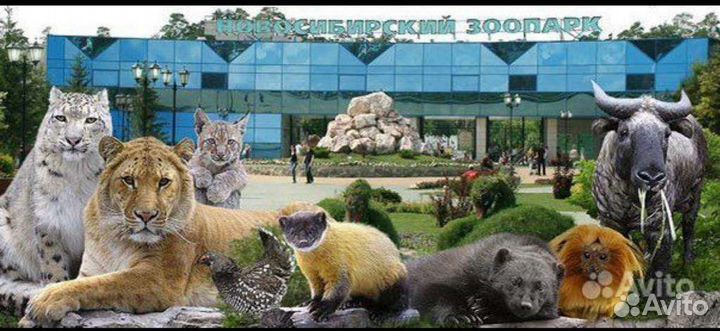 Продавец в зоопарке