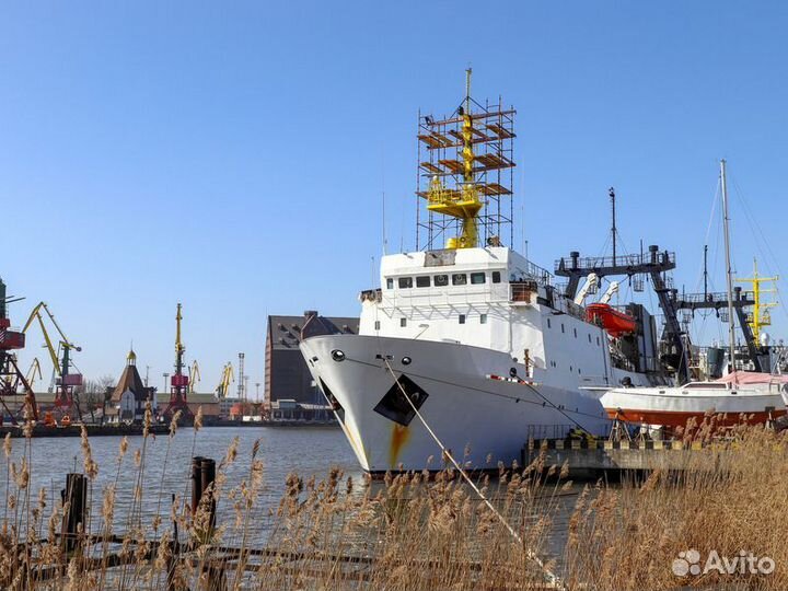 Экскурсия — Калининград — Калининград впервые