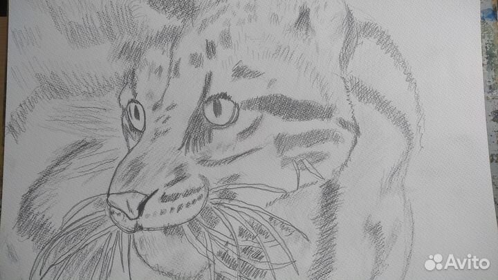 Картина рисунок карандашом а3