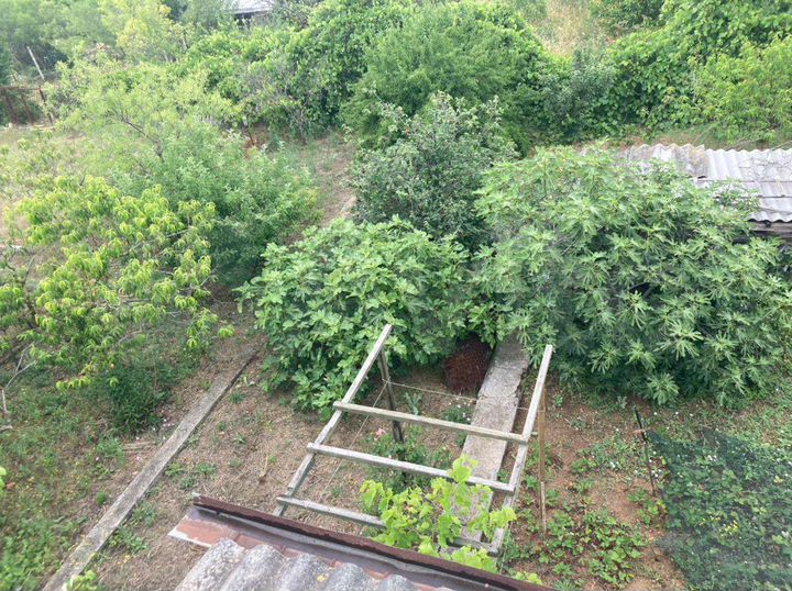 Участок 4,3 сот. (СНТ, ДНП)