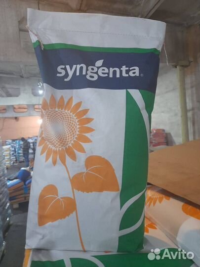 Семена подсолнечника Сумико, Сузука под экспресс