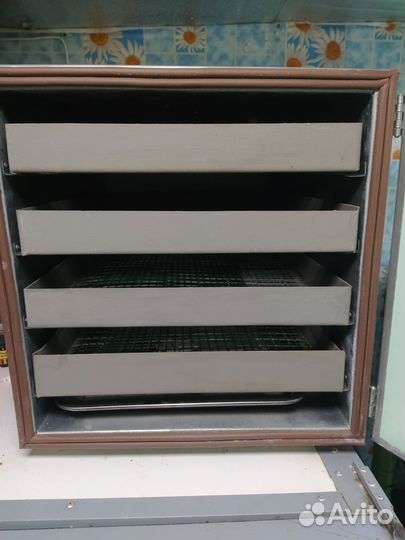 Инкубатор выводной