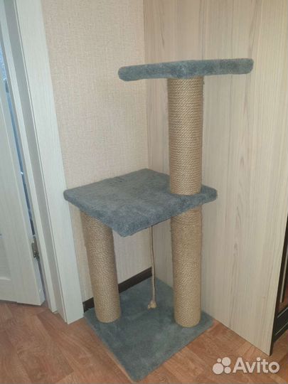 Когтеточка для кошек бу
