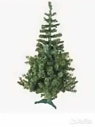 Ель клеопатра 120-150 см