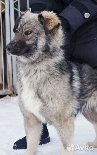 Красивая девчонка в самые добрые руки