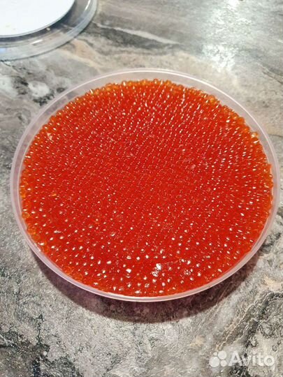 Икра форели из Карелии ноябрь 2024