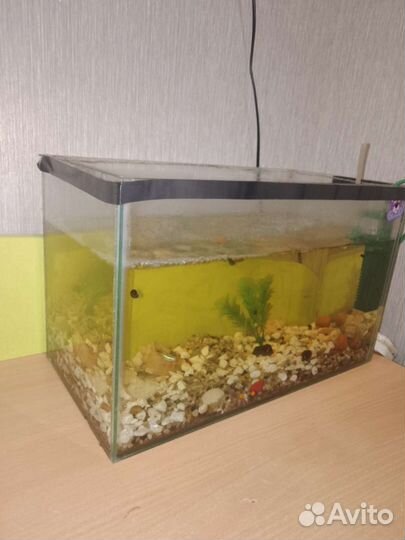 Аквариум