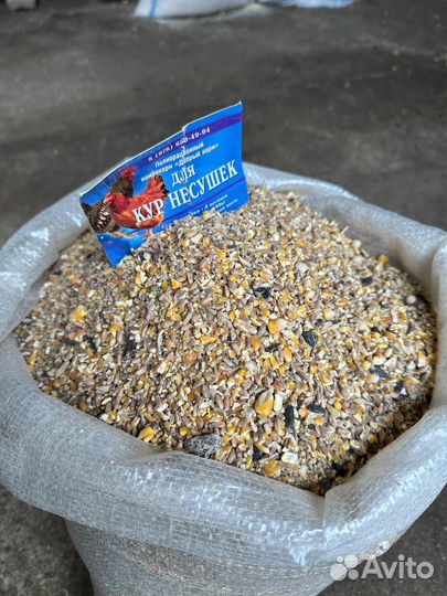 Комбикорм для кур несушек