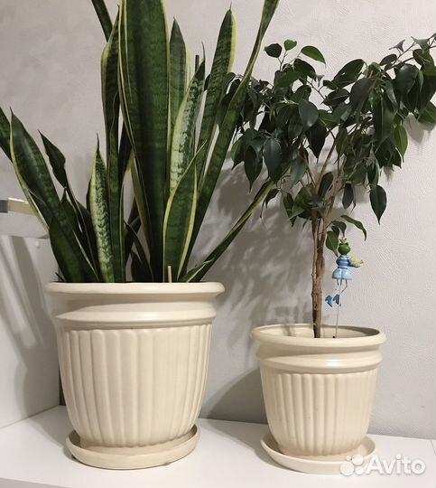 Горшки для цветов керамика (2шт)