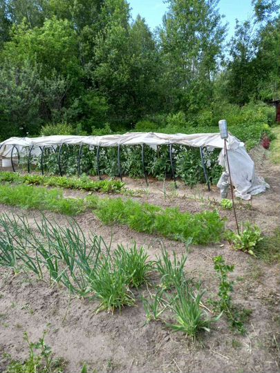 Дача 30 м² на участке 6 сот.