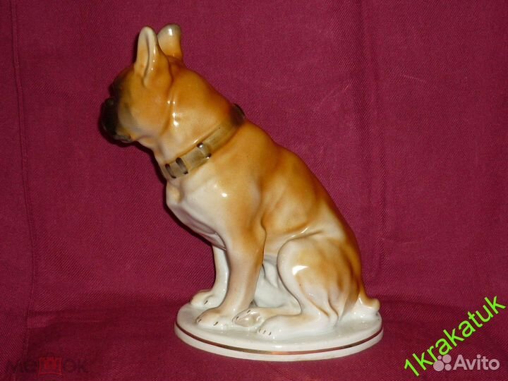 Собака, бульдог или боксер. лфз