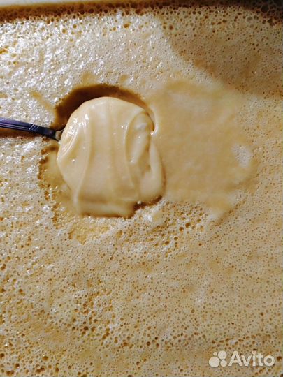 Мед Высокогорный