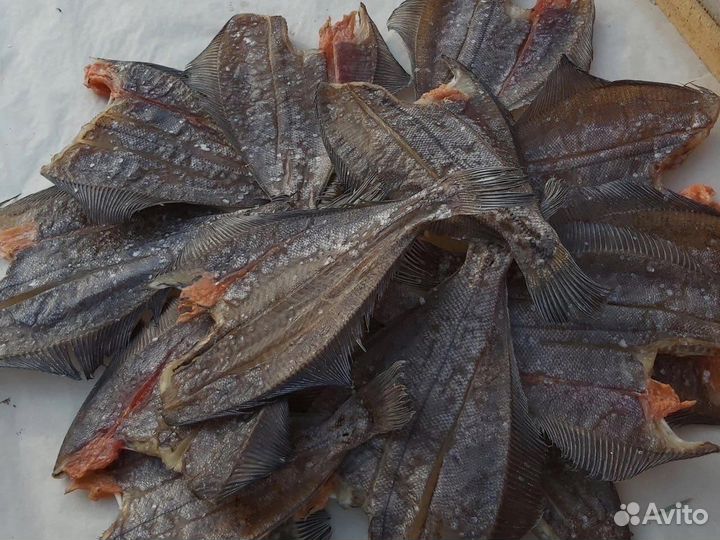 Вяленая мурманская камбала