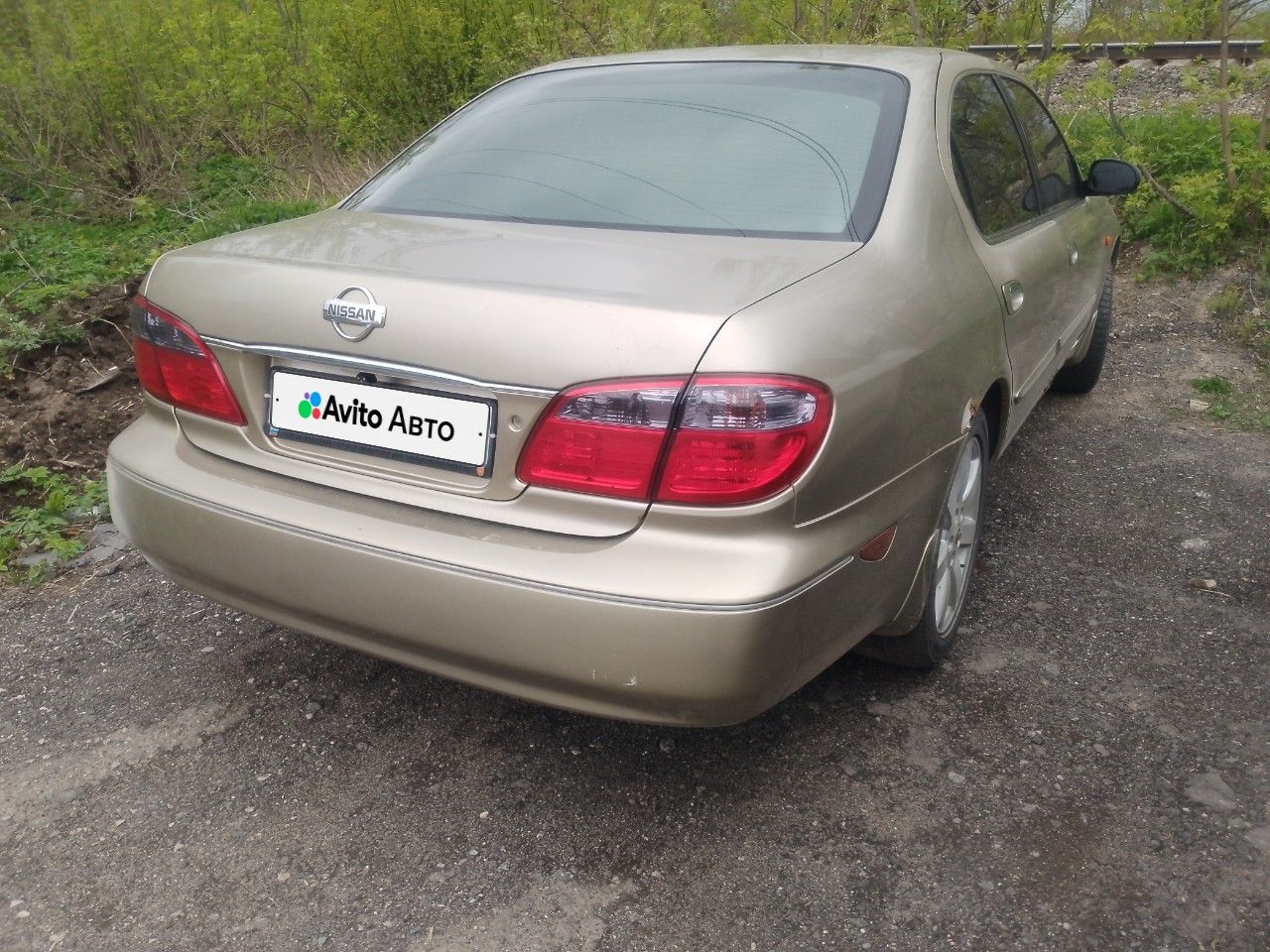 Nissan Maxima: фото владельца