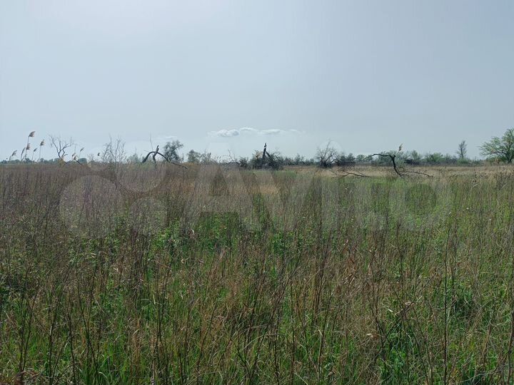 Участок 10 га (ИЖС)