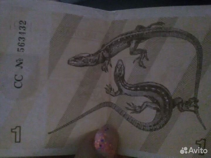 Эстония, бундес, русские, польша