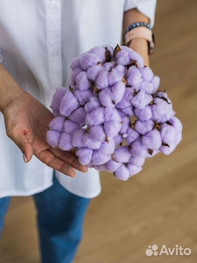 Ветки хлопка сухоцвет