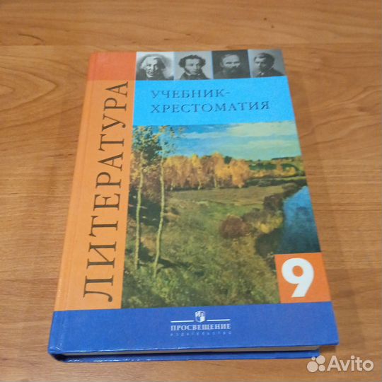 Литература 9 класс Коровина