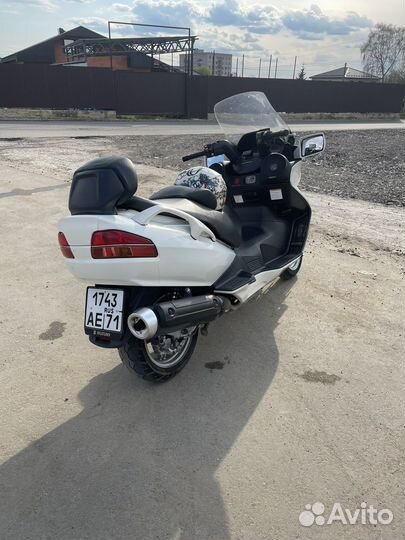 Suzuki Burgmann (skywave)