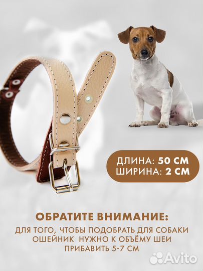 Кожаный ошейник для собак