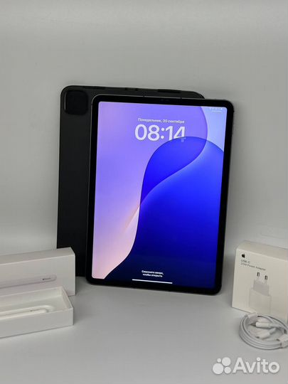 iPad Pro 11 2021 M1 WiFi + Cellular + Pencil