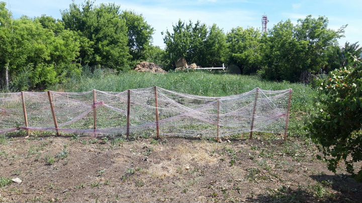 Дом 67 м² на участке 15,2 сот.