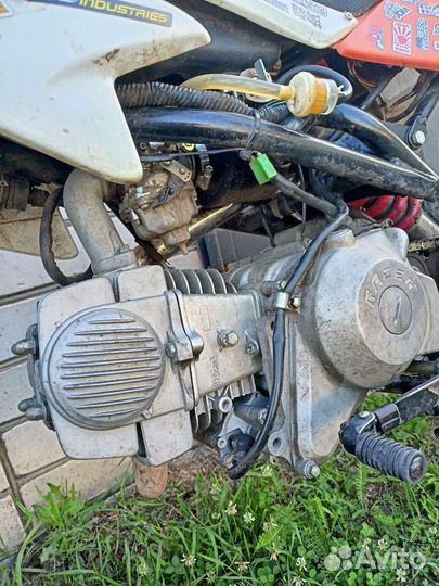 Продаю пит байк racer 125