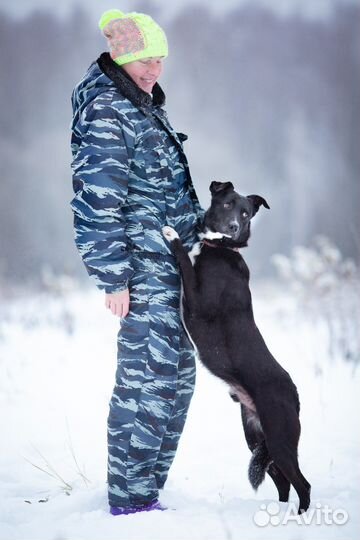 Собака в добрые руки 5 лет