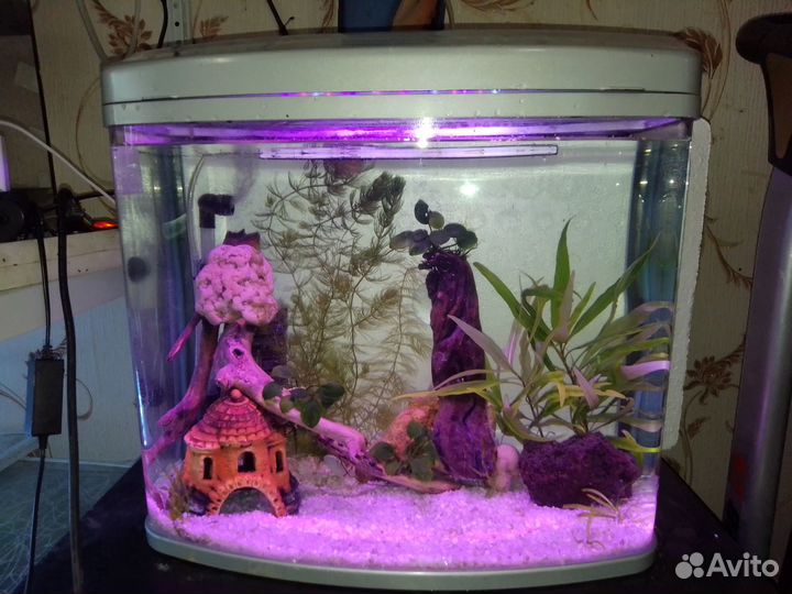 Продам полностью готовый аквариум