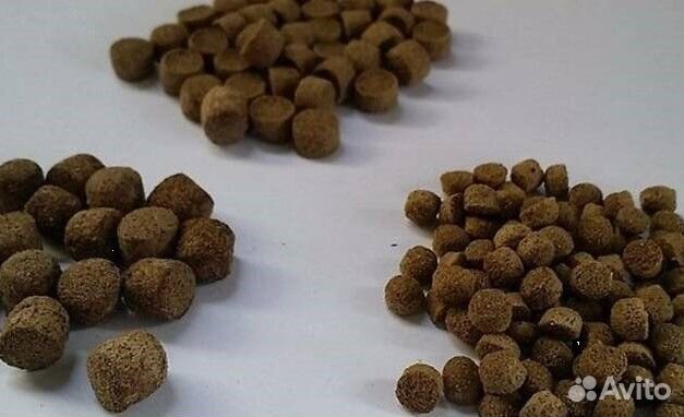 Корм для карпа кои 