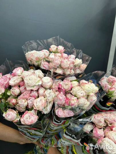 Роза кустовая Опт