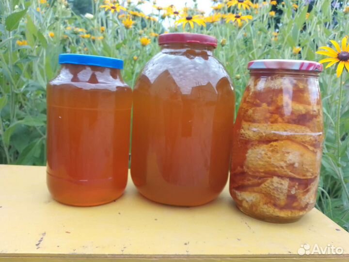 Мед майский