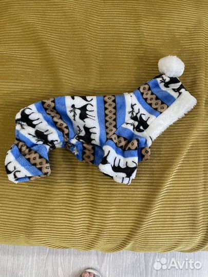Костюм для собаки
