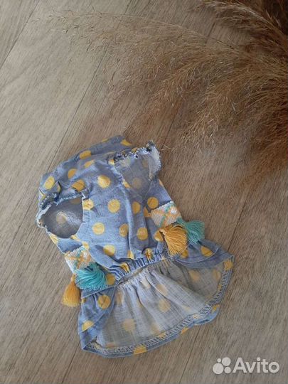 Одежда для маленьких собак