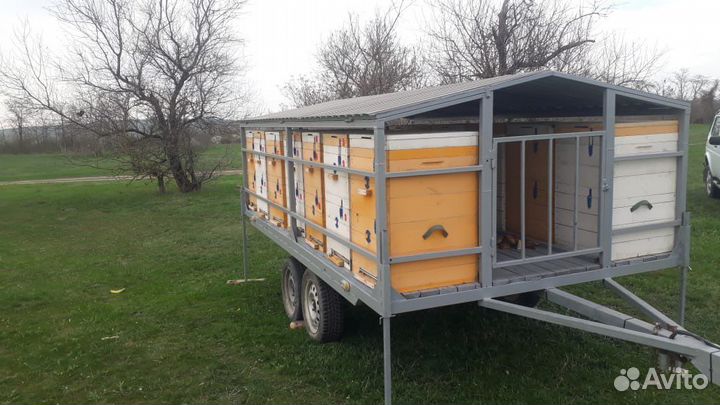 Пчелопавильон