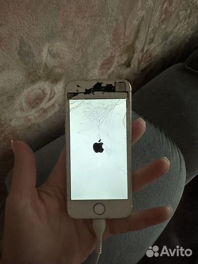 Телефон iPhone 5s