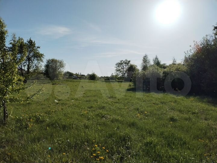 Участок 38 сот. (ИЖС)