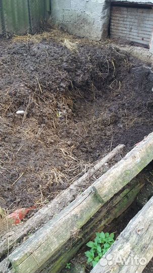 Навоз коровий бесплатно самовывоз