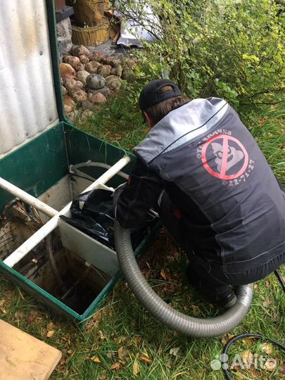 Сервис септика