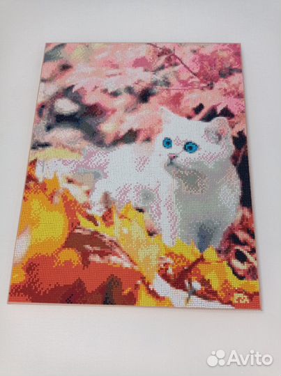 Кот картина