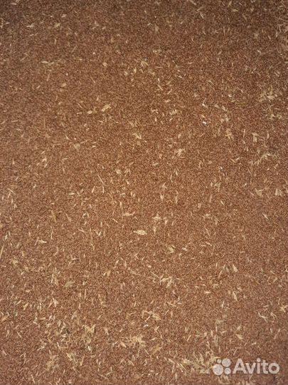 Пшеница на корм животным